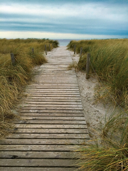 Beach landscape sea coast