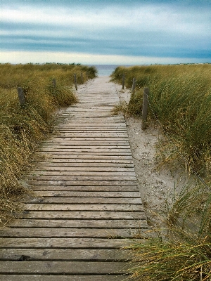 Beach landscape sea coast Photo