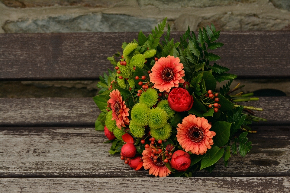 Plant flower bouquet green