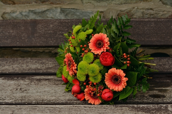 Plant flower bouquet green Photo