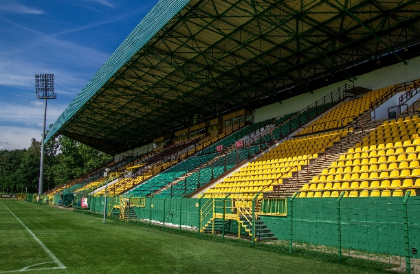 草 構造 分野 サッカー 写真