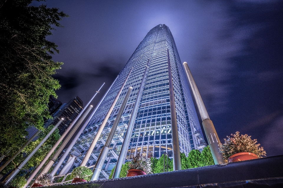 Baum die architektur himmel nacht