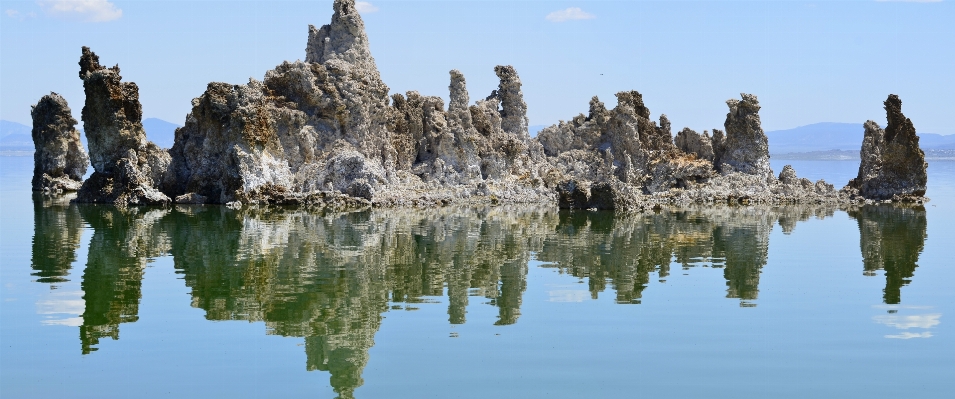 Tree water lake formation Photo