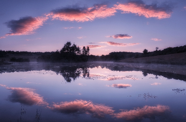 Landscape tree water nature Photo