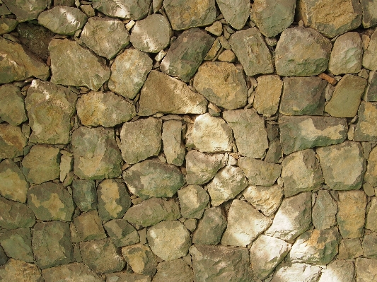 Rock wood texture building Photo