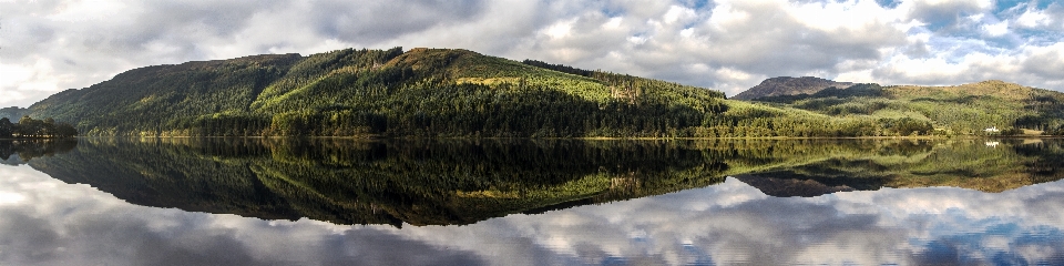 Paisagem árvore natureza região selvagem
