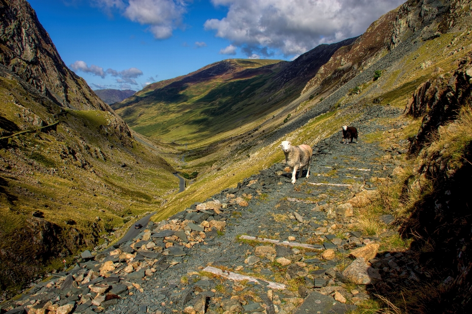 Landscape nature rock wilderness