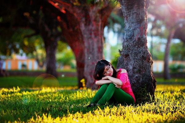 Hand tree grass person Photo