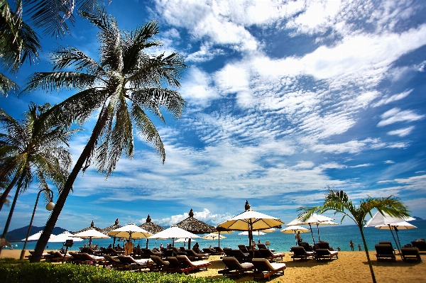 Man beach sea coast Photo