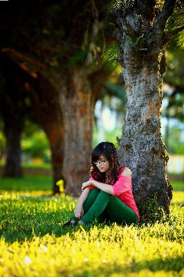 Hand tree grass person Photo