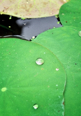 Landscape tree water nature Photo