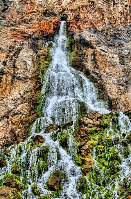 Arbre eau nature rock