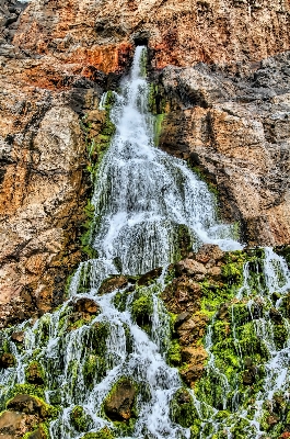 Foto árvore água natureza rock