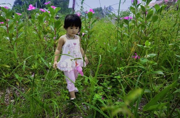 Forest grass walking people Photo