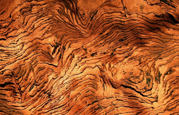 Rock wood texture formation Photo