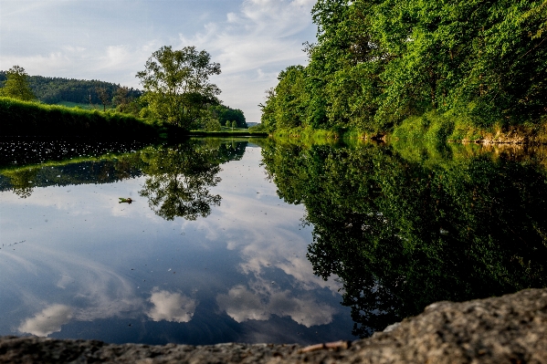 Landscape tree water nature Photo