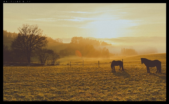 Landscape horizon light sun Photo