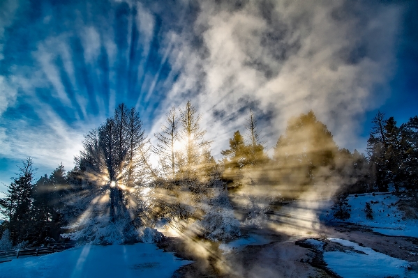 Landscape tree water nature Photo