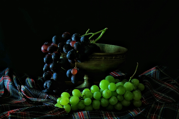 Foto Tanaman kelompok buah bunga