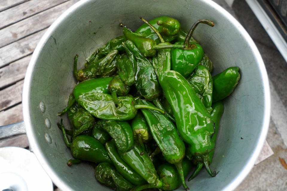 植物 皿 食べ物 生産