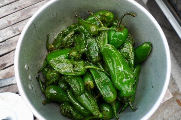 植物 皿 食べ物 生産 写真