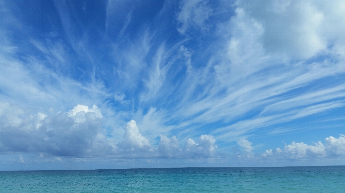 Landscape sea coast ocean Photo