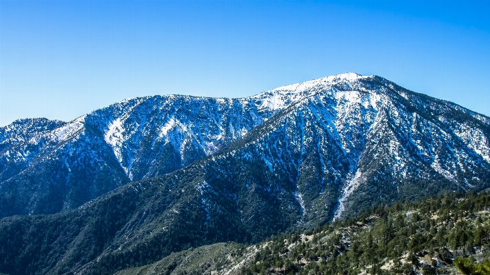 Landscape nature forest wilderness Photo