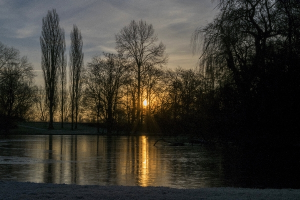 Landscape tree water nature Photo