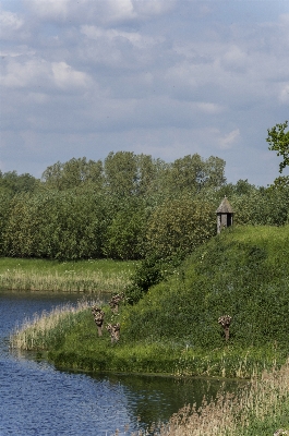 Landscape tree water nature Photo