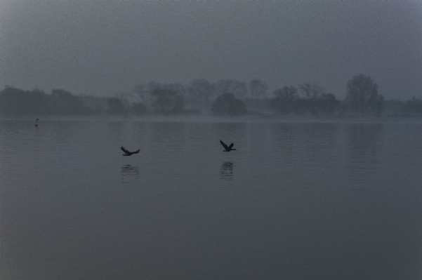 Water nature outdoor fog Photo