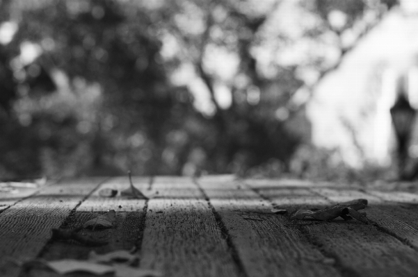 Black and white bridge photography Photo