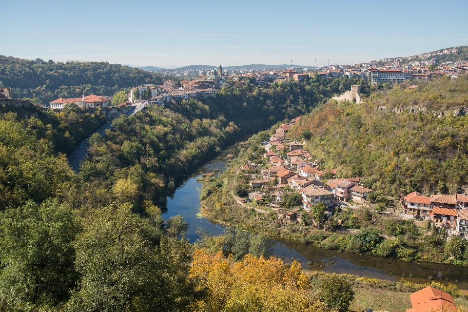 Landschaft baum berg fotografie