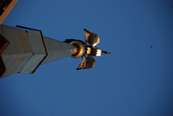 Wing sky city airplane Photo