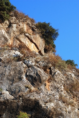 Coast tree rock wilderness Photo