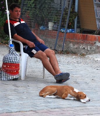 People street dog nikon Photo