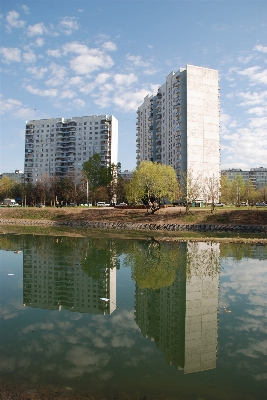 Tree water architecture skyline Photo