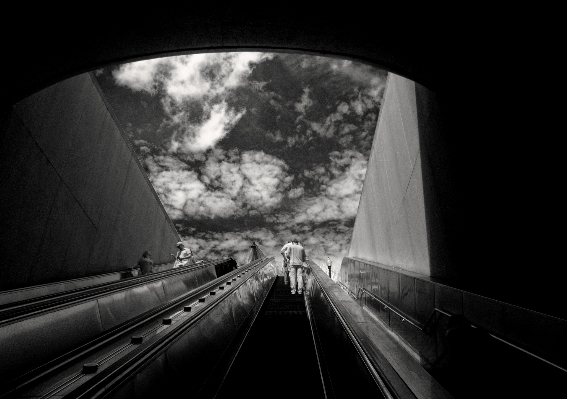 ライト 黒と白
 空 白 写真