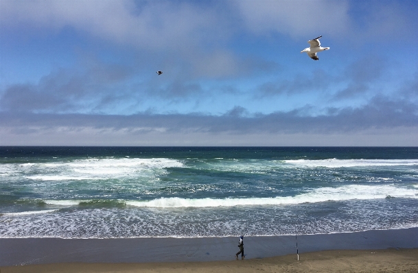 Beach sea coast water Photo