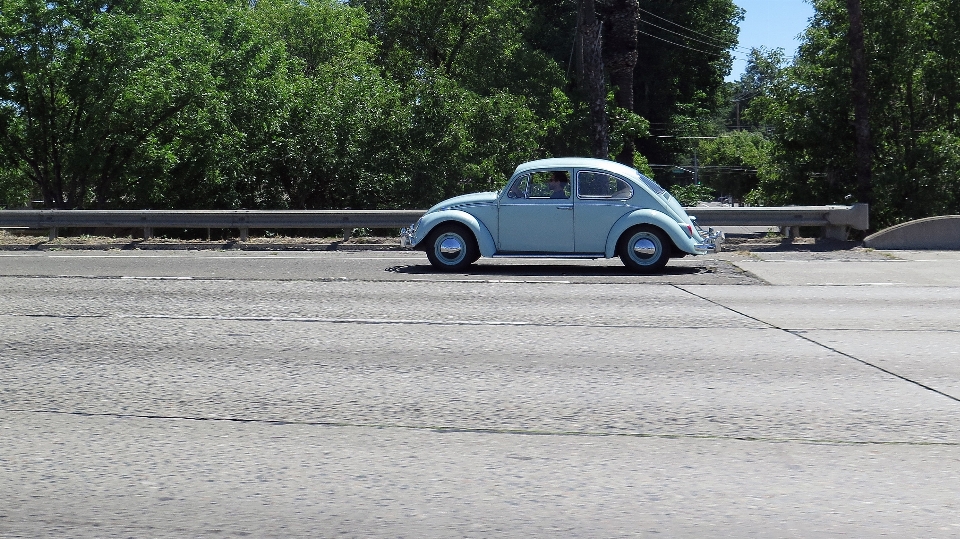 Mobil roda ay
 volkswagen
