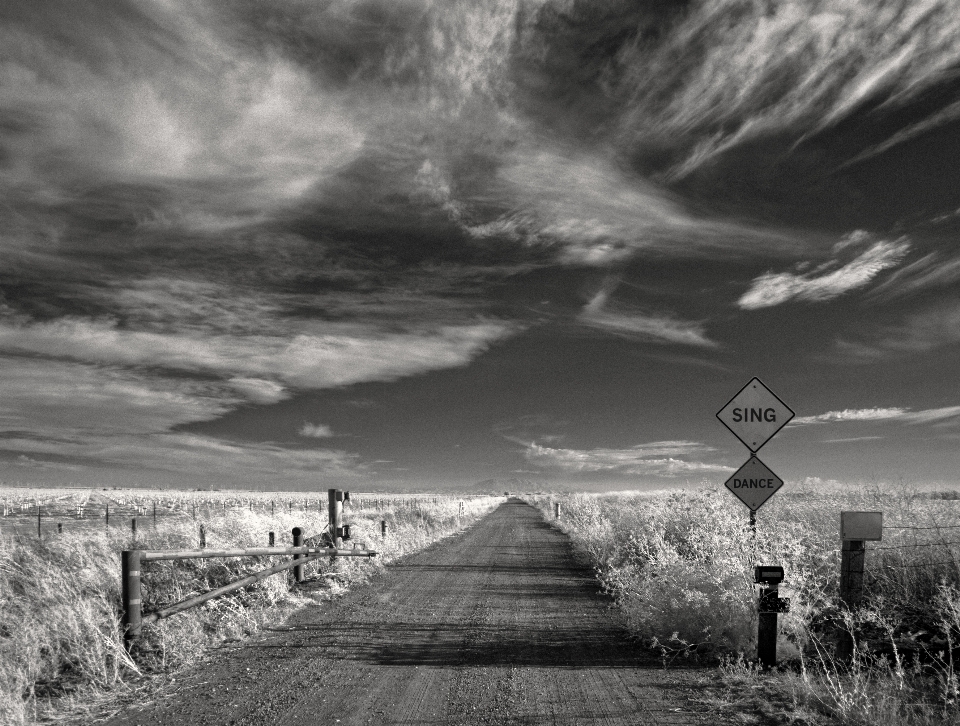 Horizon cloud black and white sky