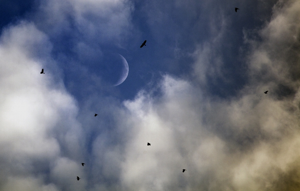 Nube cielo tramonto atmosfera