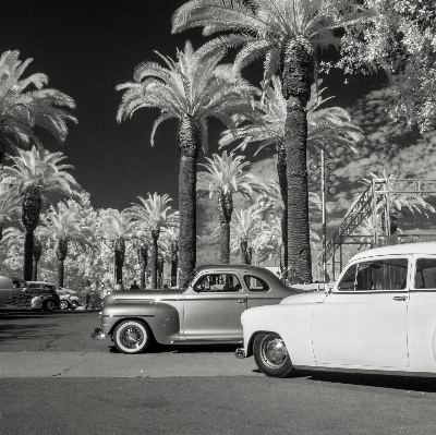 Photo Noir et blanc
 voiture roue véhicule