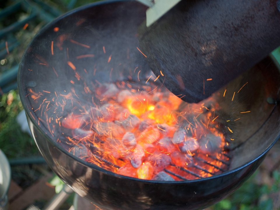 Food cooking color bbq