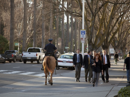 Pedestrian road street crowd Photo