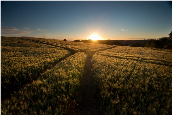 Landscape nature grass horizon Photo