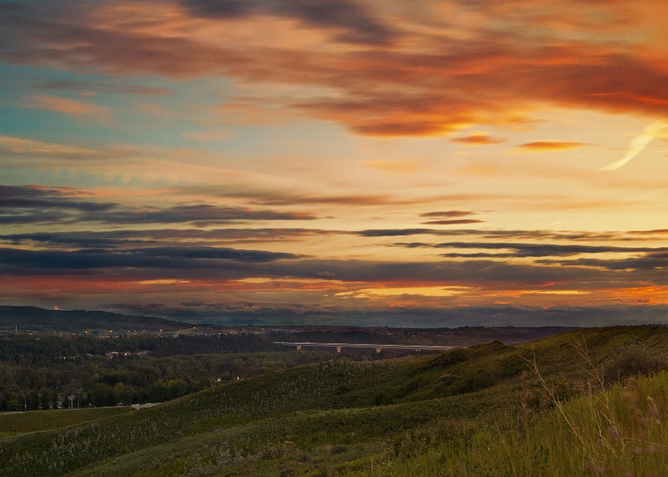 Landscape nature grass horizon