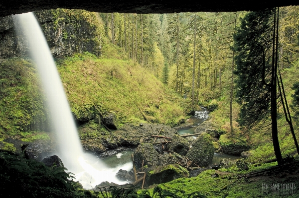 Landscape water nature forest Photo