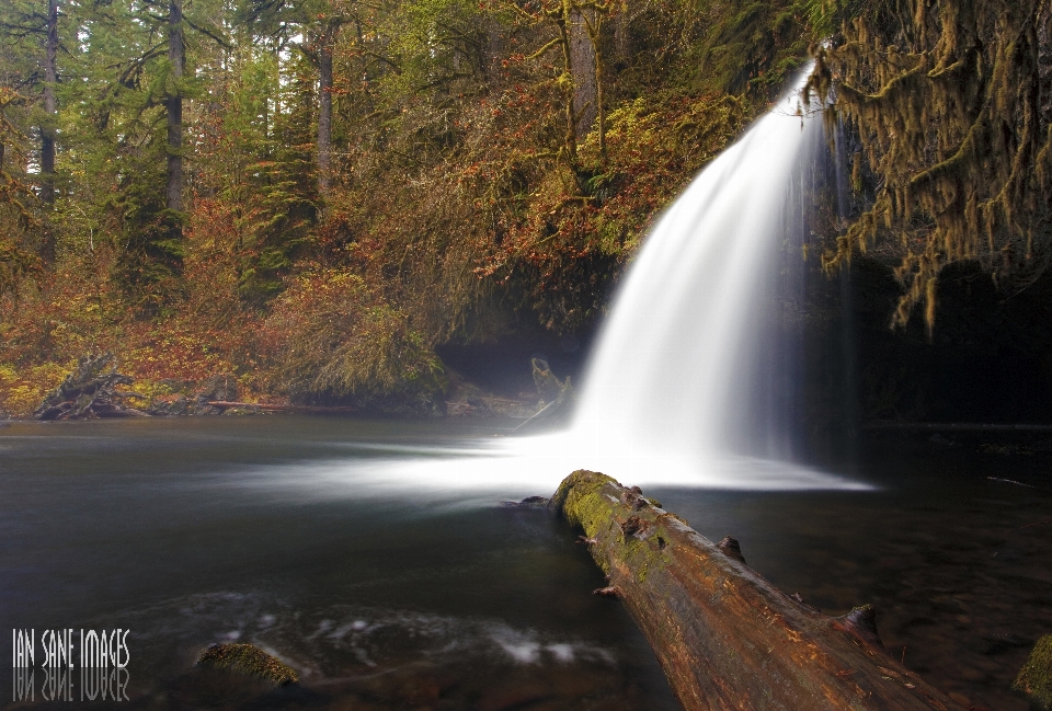 Agua naturaleza bosque cascada