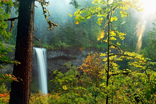 Landscape tree water nature Photo