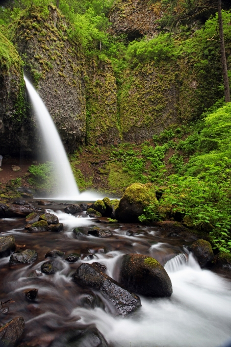 Water nature forest rock